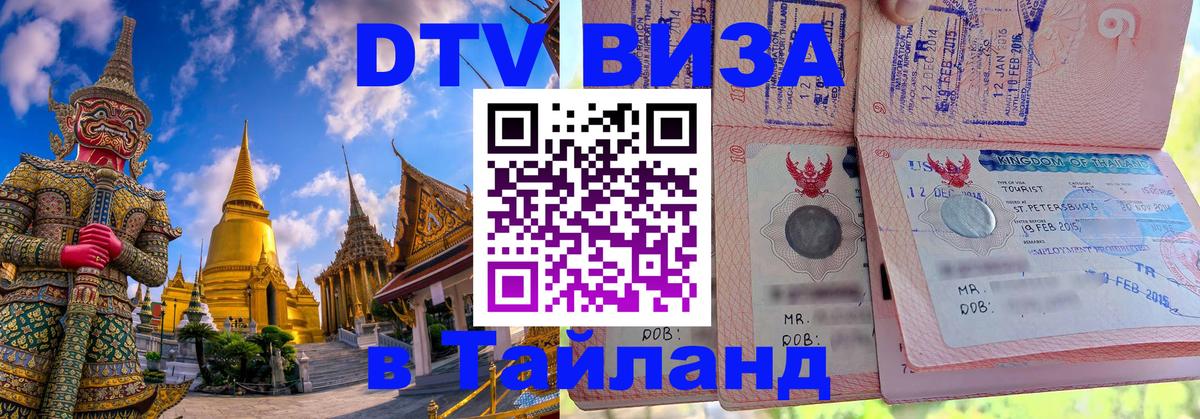 Сколько стоит DTV виза — актуальные цены, оформление даже без документов - Михайловск 